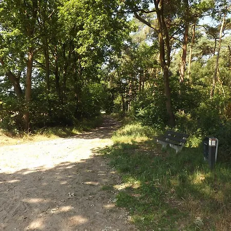 Vosseven 32 Geelgors Stramproy