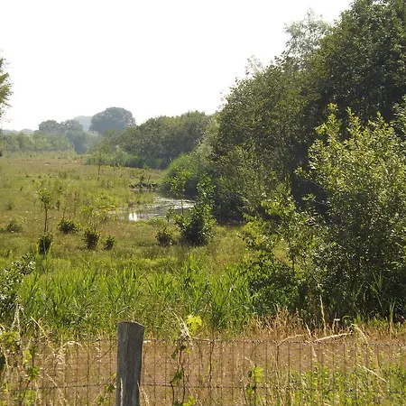 Vakantiehuis Vosseven 32 Geelgors *