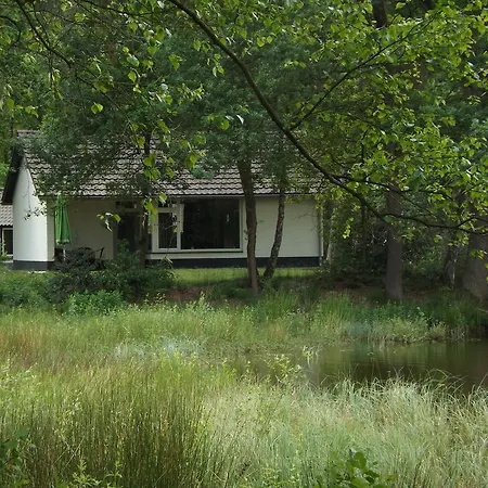 Vosseven 32 Geelgors *