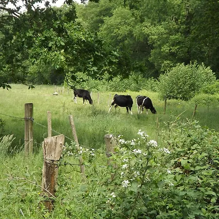 Vosseven 32 Geelgors Vakantiehuis *