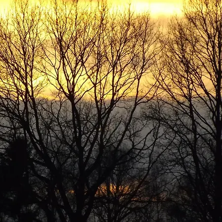 Vakantiehuis Vosseven 32 Geelgors