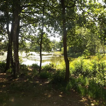 Vosseven 32 Geelgors Vakantiehuis