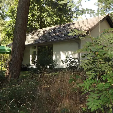 Vakantiehuis Vosseven 32 Geelgors *