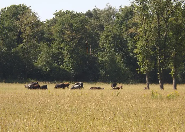 Vosseven 32 Geelgors Дом отдыха Stramproy