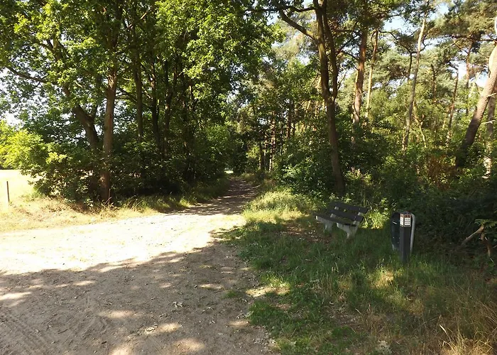 Vosseven 32 Geelgors Stramproy