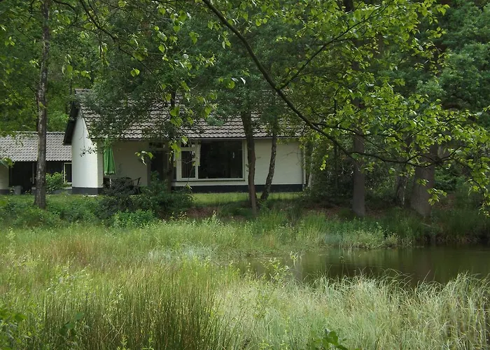 Vosseven 32 Geelgors *