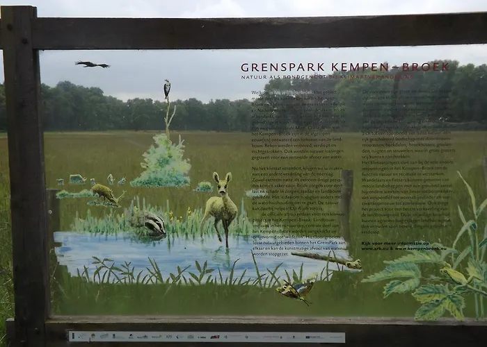 Vosseven 32 Geelgors