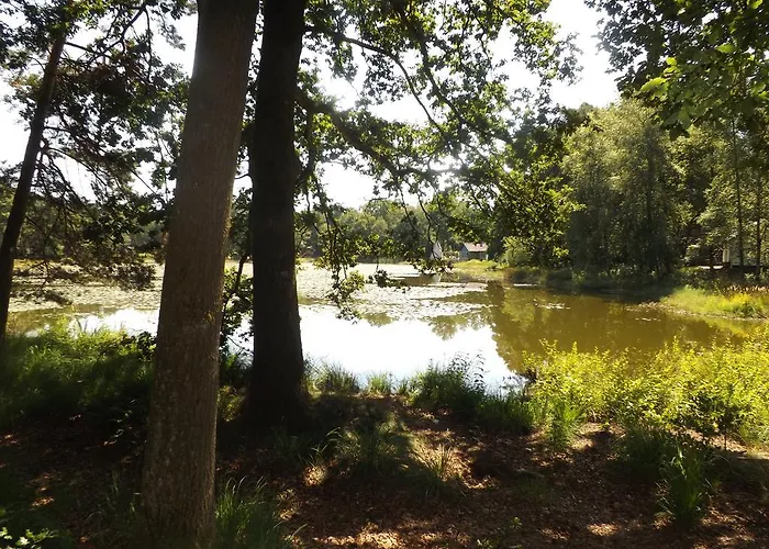 Vosseven 32 Geelgors Stramproy