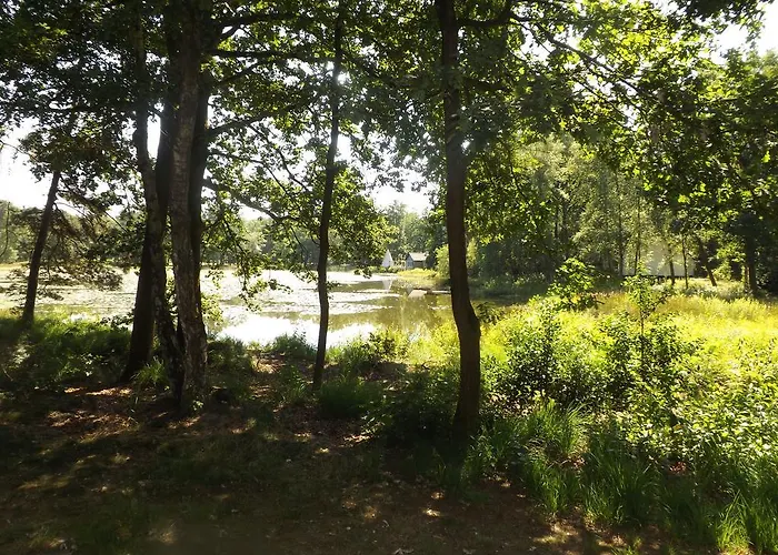 Vosseven 32 Geelgors بيت للعطل