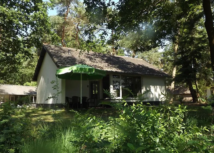 Vosseven 32 Geelgors